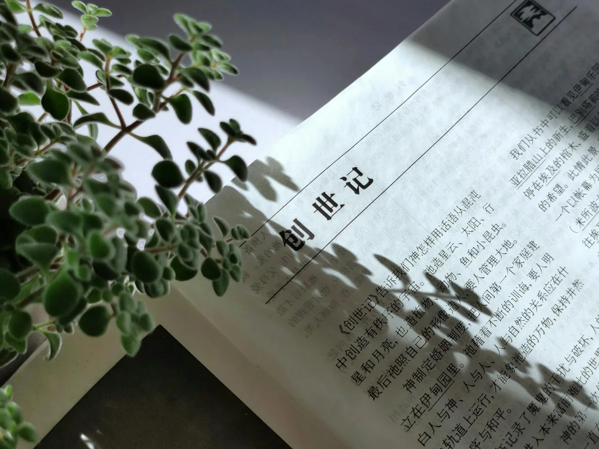 厂区能源管道与计量设备布置实景